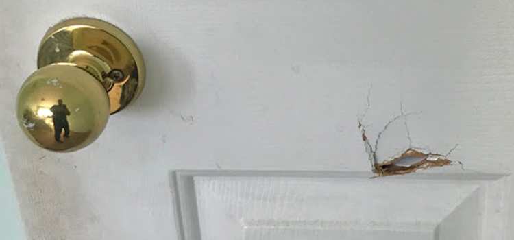 interior door hole repair Madera Acres