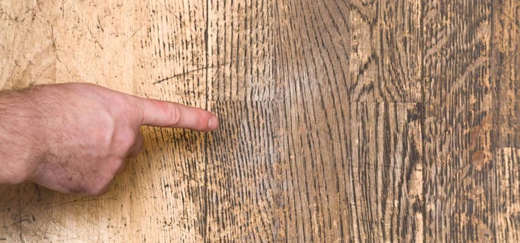 Wood Door Scratch Repair in Madera Acres
